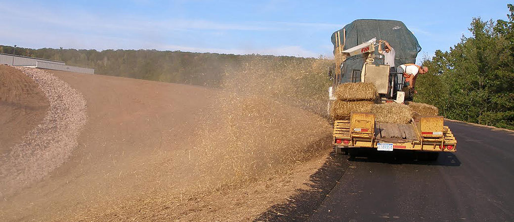 straw blowing buffalo ny